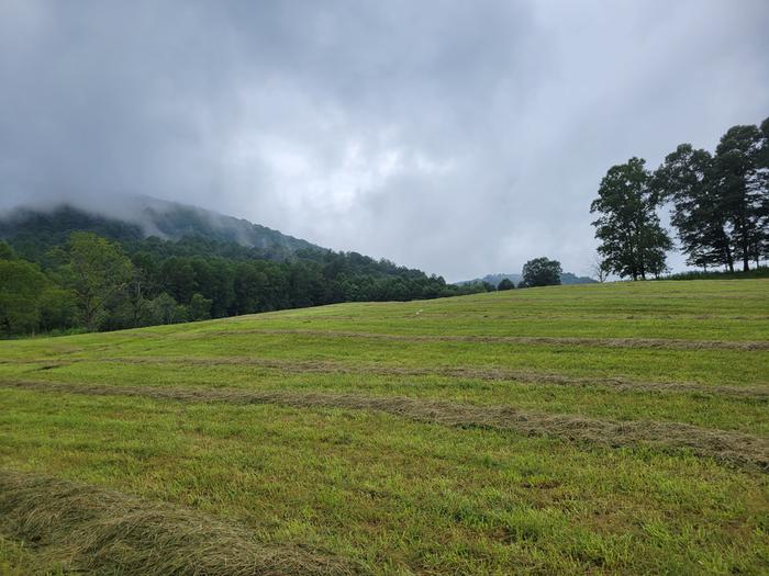 Pasture-Hay field