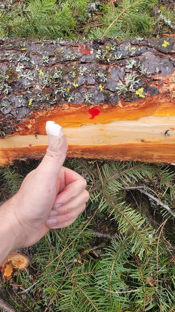 I'm not mad... I'm just disappointed