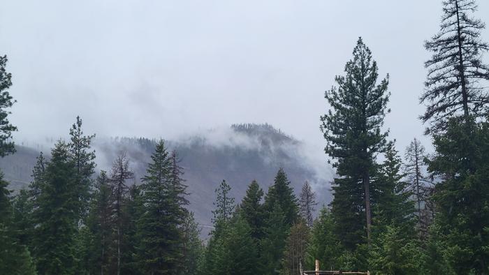 I love this kind of weather when I'm in my lodenwool