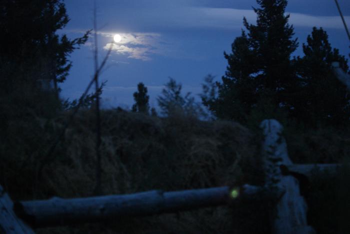 Yesterday's moon.. I was in a hurry to go to bed.. that's why its so blurry and unbalanced exposure =D