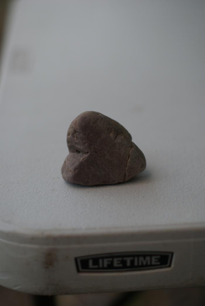 a heart shaped rock found near FPH