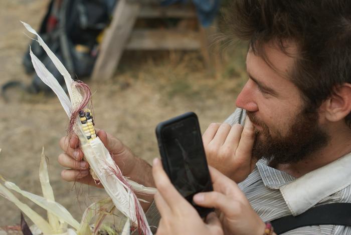 Josiah opening up some "rainbow" corn.. and Lara admiring the hair style with her phone..