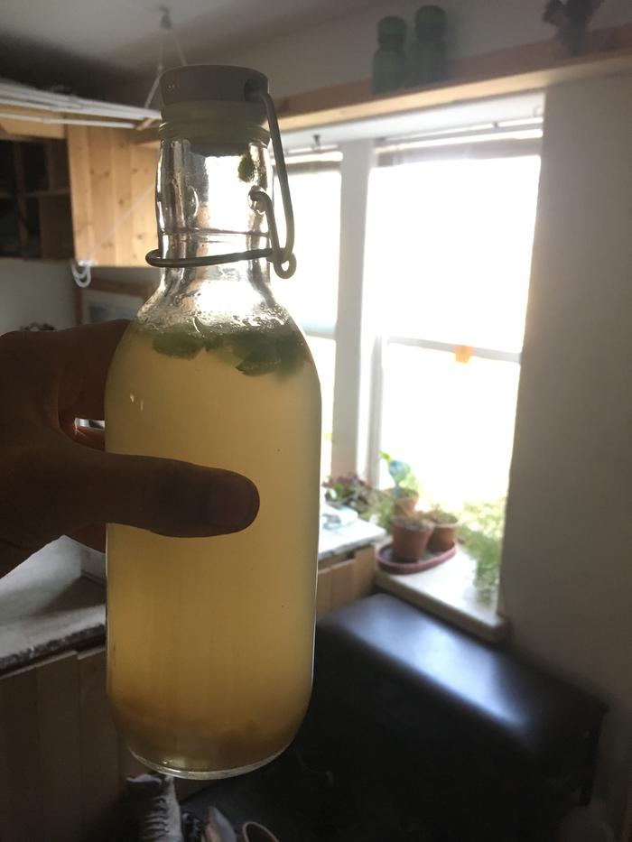 Fermenting the ginger beer.. should be ready Friday or saturday