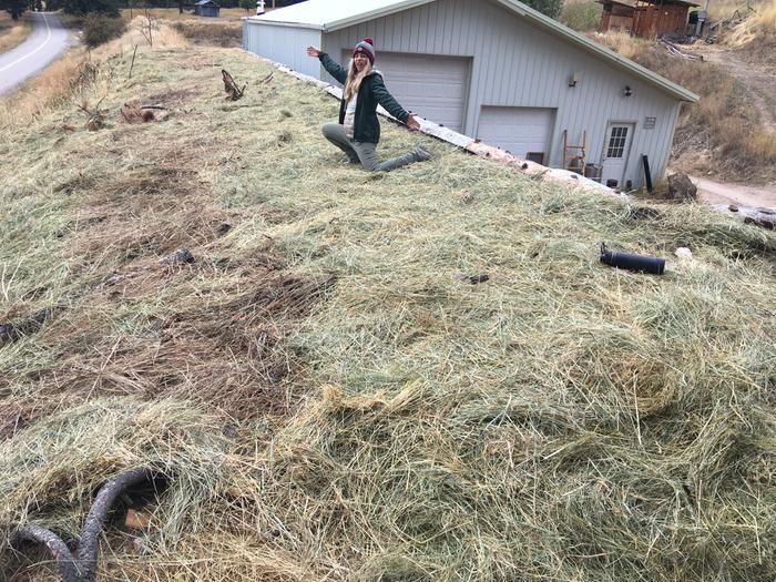Mulch by Clayton and Lara 