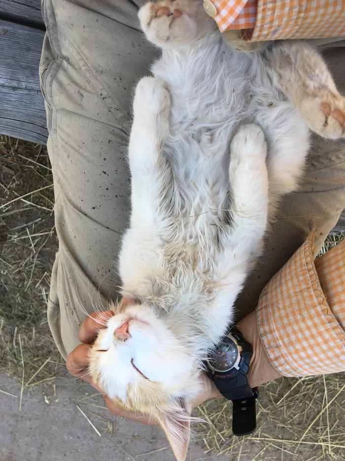 Hypnotized by the sun and some facial massage