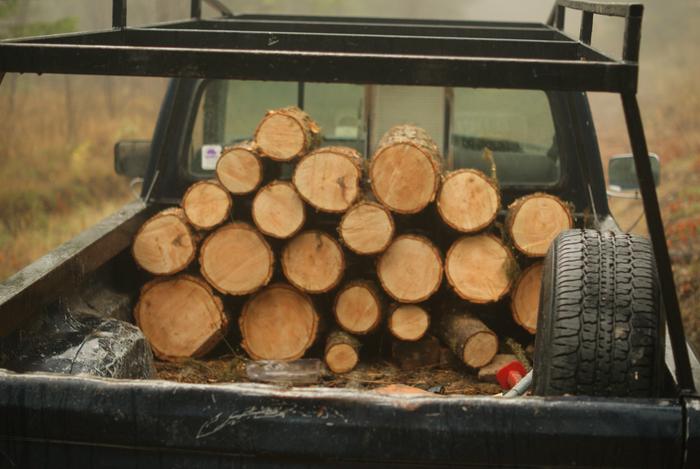 Half of yesterday's firewood haul