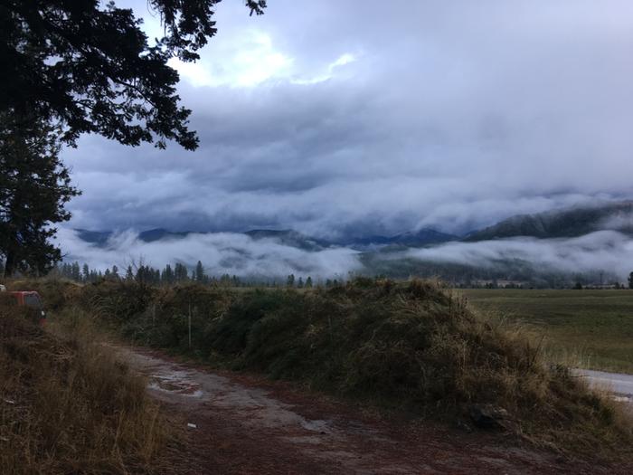 Morning clouds / fog