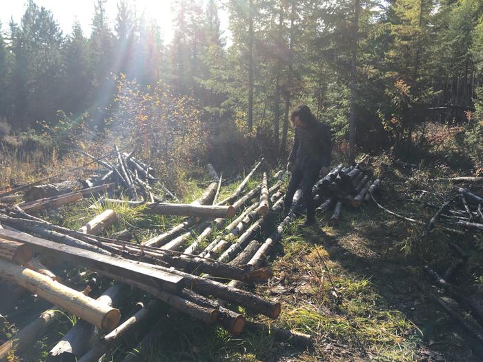 Clayton selects a log for the roof poles 