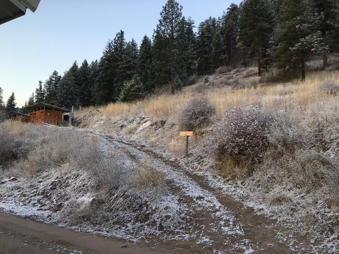 snow on the path