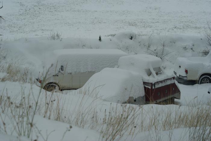 After the first snow