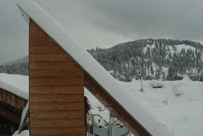 After first snow.. about a foot of fluffy powder