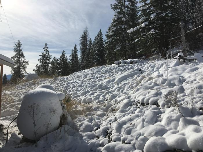 Snow melting on a hill behind FPH