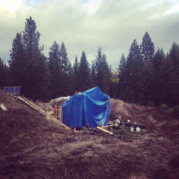 Greenhouse under tarp 