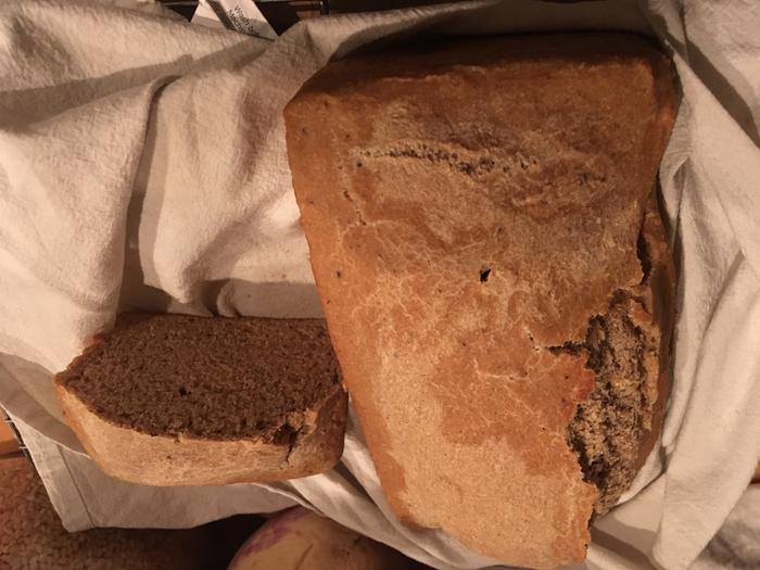 Homemade bread