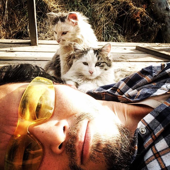 Sun bathing with adorably needy kittens .. 