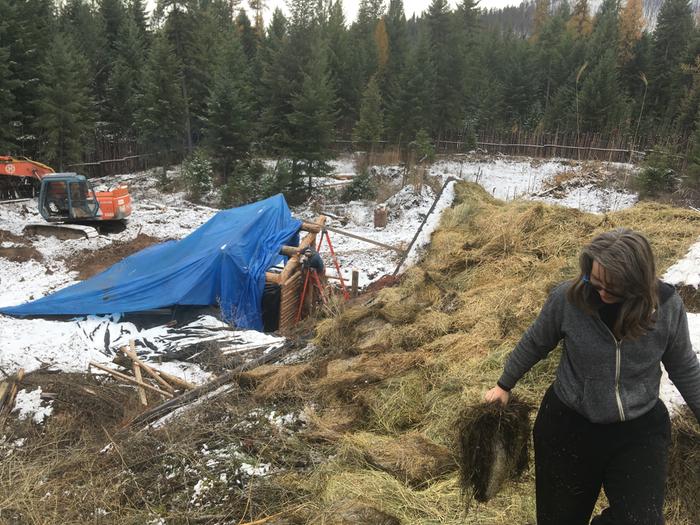 View from north side of abbey, greenhouse half tarped