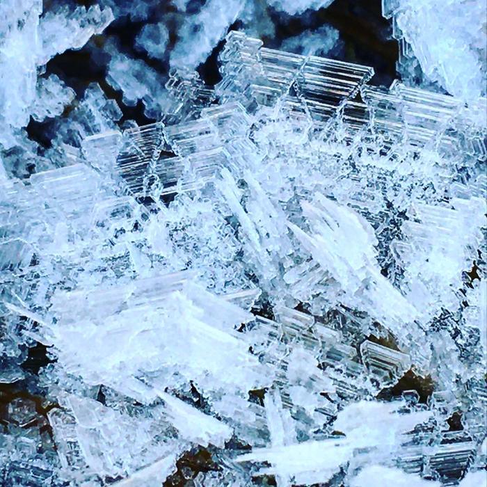 Ice crystals on hay mulch atop abbeys roof 