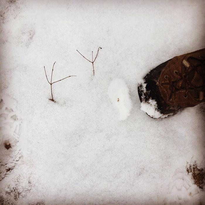 This shriveled turkey fell feet up into the soft snow.. jk it’s a couple of small branches