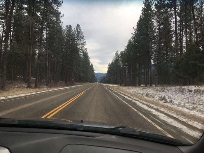 Road trip through a forest