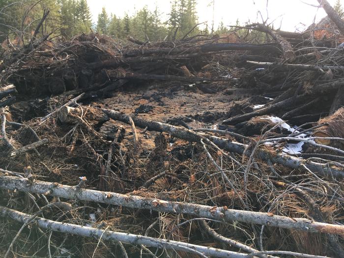 Burn pile in nearby area (we could totally use that wood to heat our homes.. just a thought..)