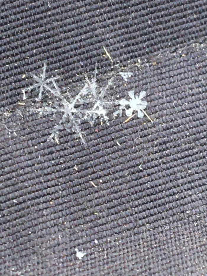 Snowflakes on my jacket 