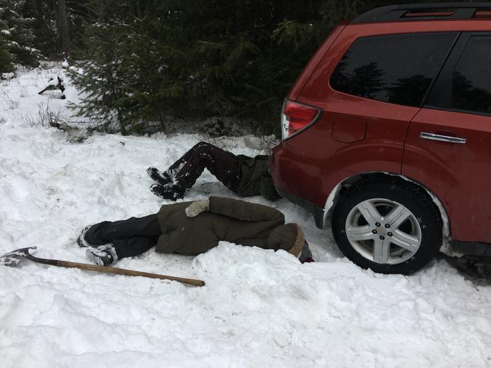 They’re not dead.. it’s just the snow is so fluffy.. investigating why the car is stuck.. we got it out with Judy!! Yay!!