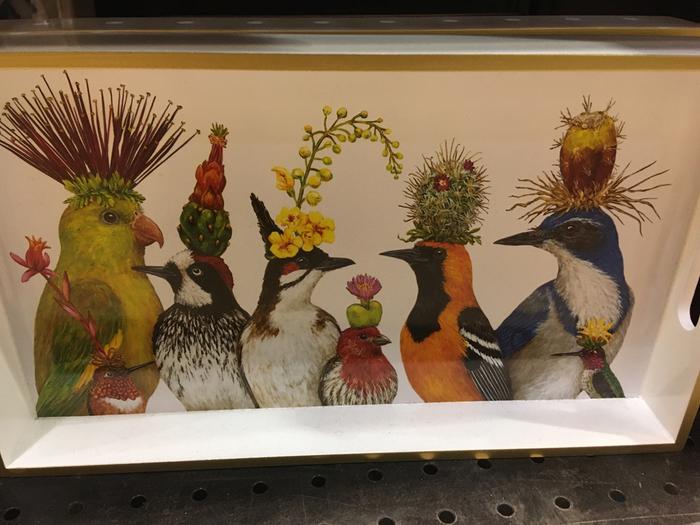 More birds with hats