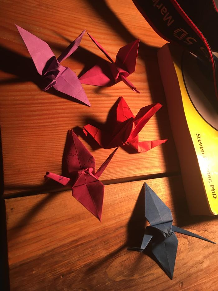 Cranes from talent night