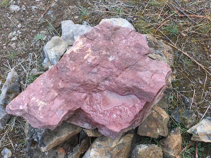 Friend rock with melted snow