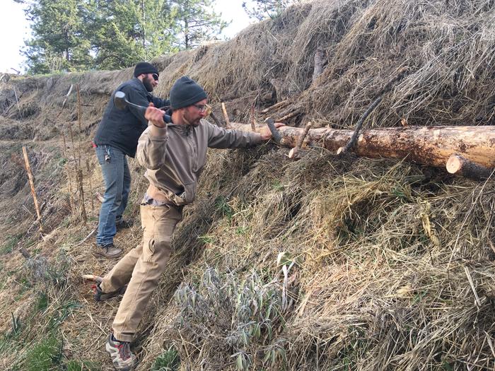 Log placement for walkway on M’s hugel