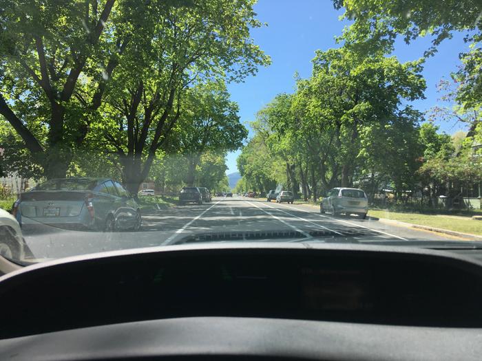 Cool canopy area in town 