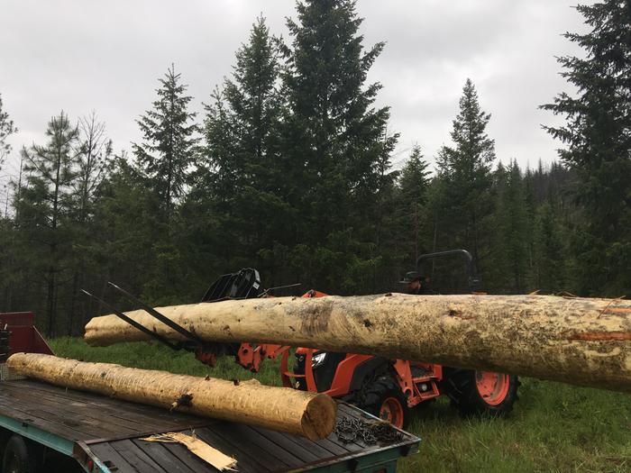 Really big logs for solarium 