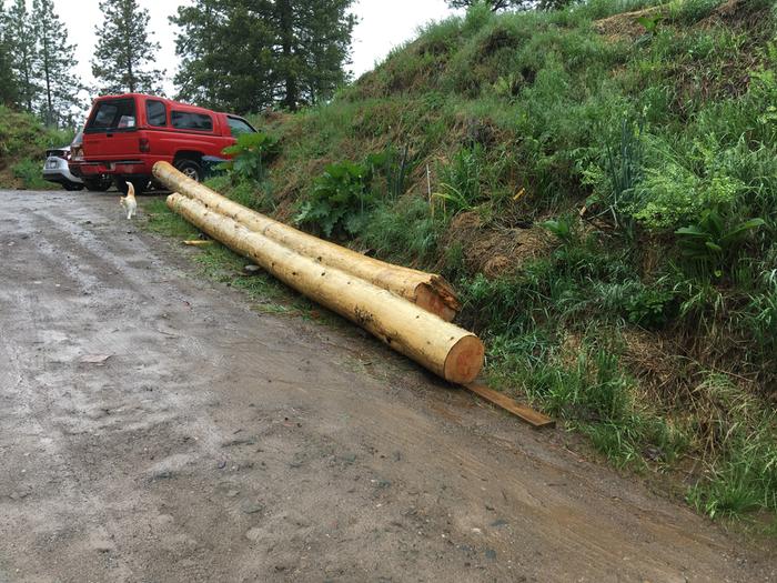 These two logs are for the solarium 