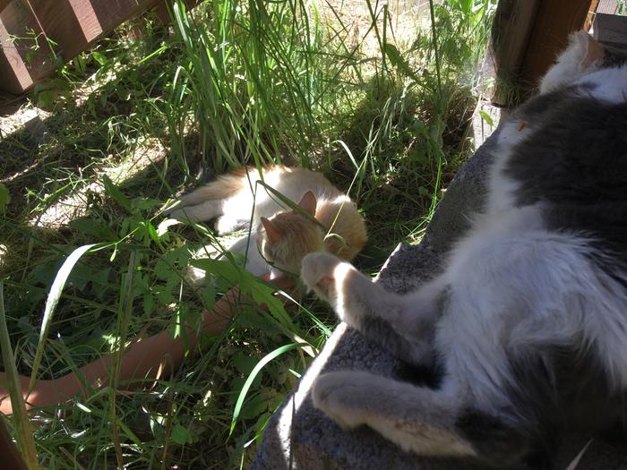 Hanging In the shade 