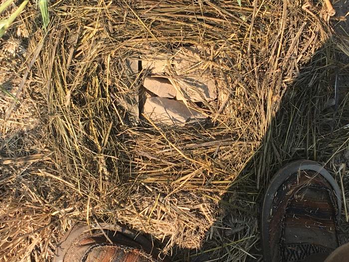 Hugel pit cover with rocks for step-ability 