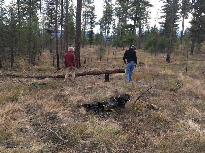 Firewood for Cooper cabin harvest.. G, C