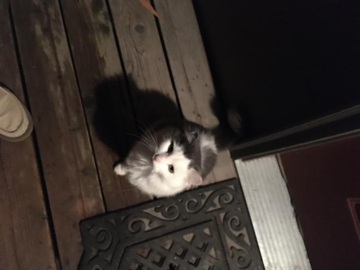 Night time visits