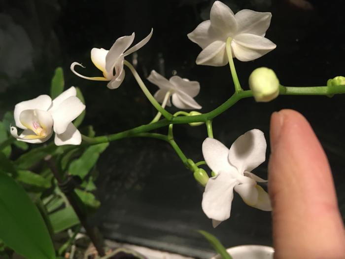 Five big ones and a sixth coming soon 