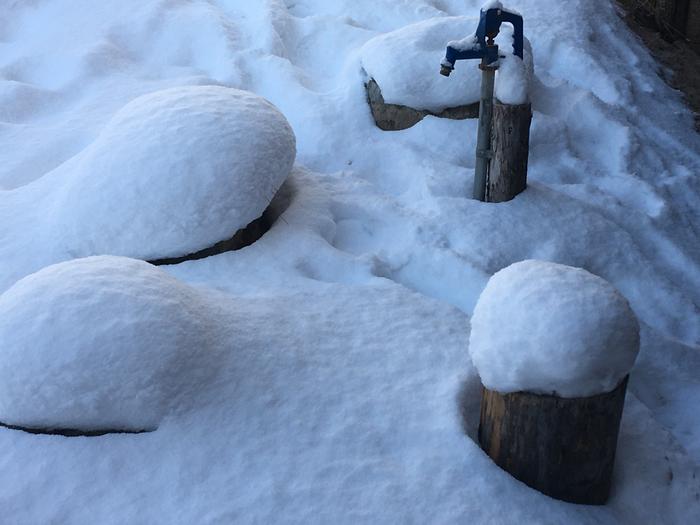 Snow mushrooms.. just kidding 
