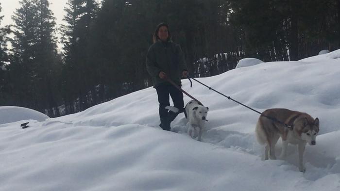 Helen walking her pups