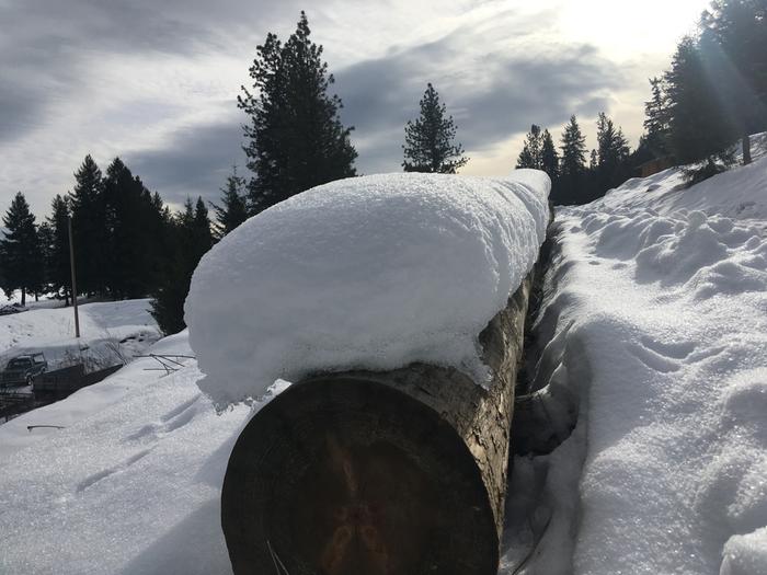 Snow forms atop our log