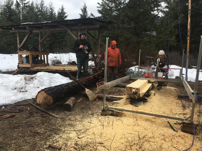 Sawmill in action
