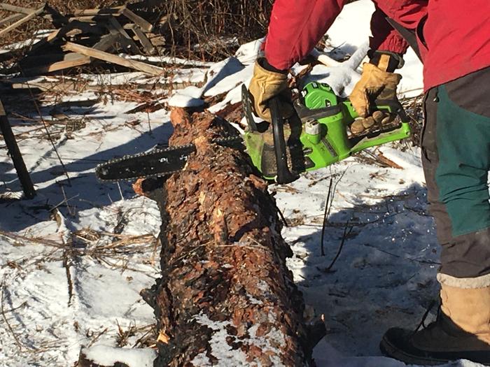 Trimming the new log for sawmill