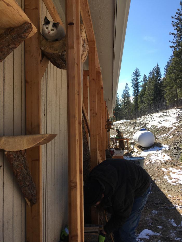 Firewood bucking and splitting