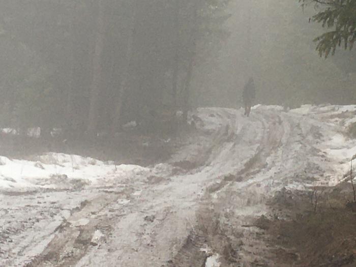 misty snowy road