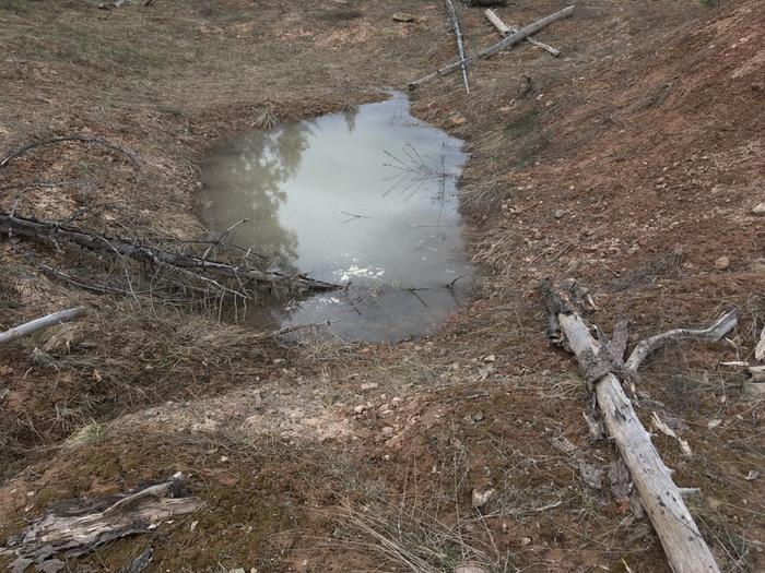 Pond filling from cistern drain