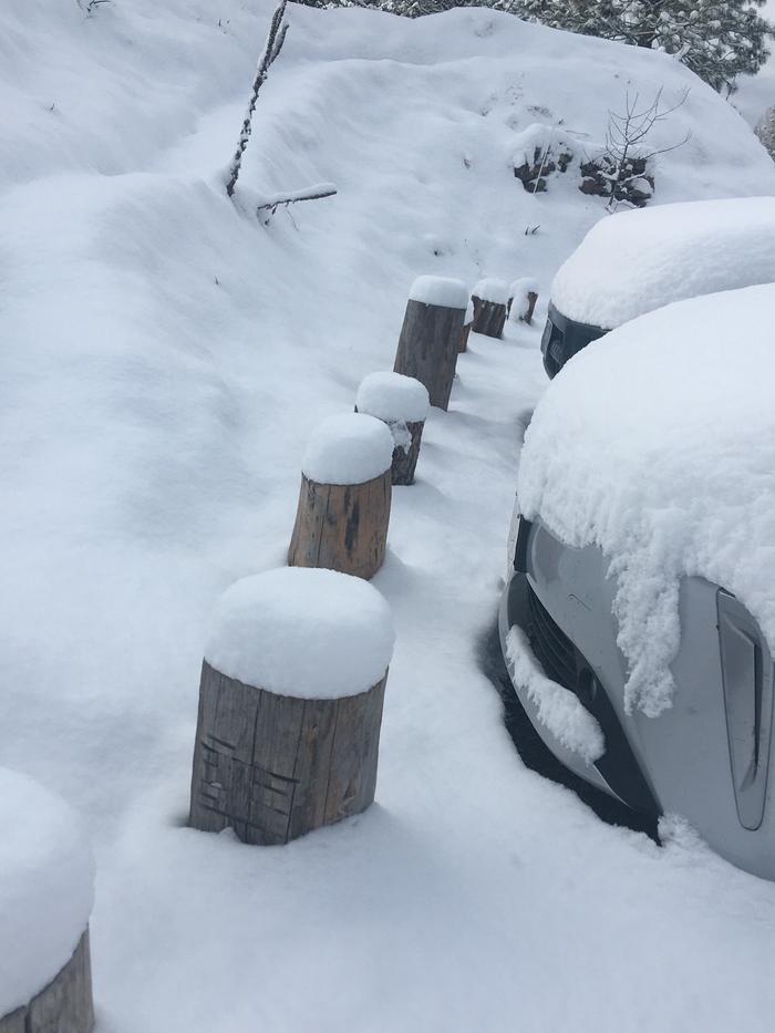 Snowy bumper logs