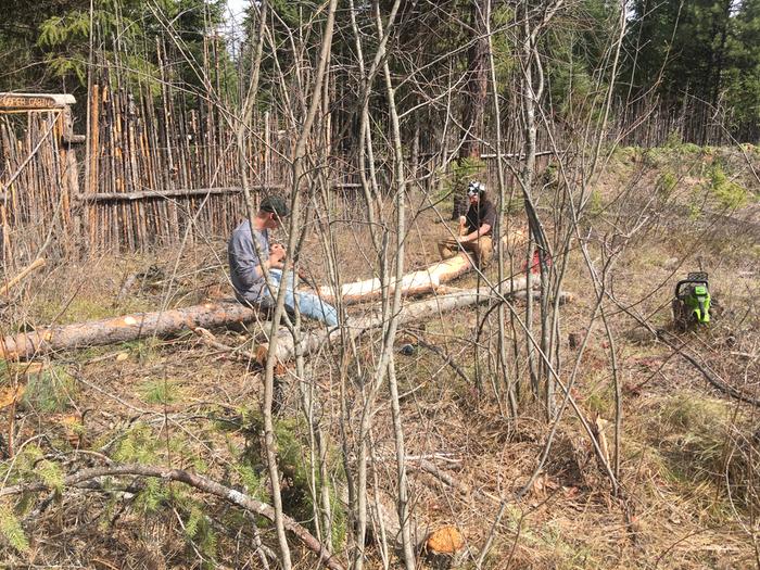 Peeling logs for abbey wing wall