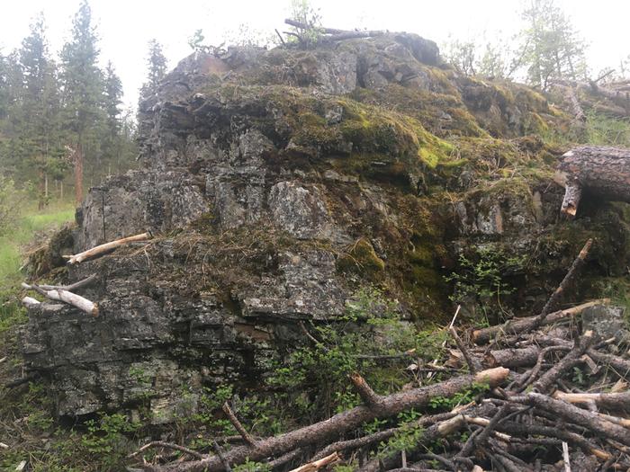 I’m calling it Stick Shrine Rock.. because it’s where I bring cool sticks that I’ve found