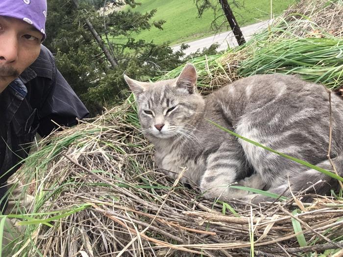 His new favorite spot.. a nest of grass..